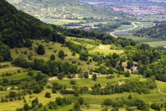 Hilly landscape with trees and a view of a distant town, Neidlingen