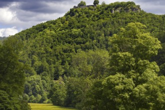 A densely wooded hill with a view of the Hohenurach castle ruins under a cloudy sky, Bad Urach