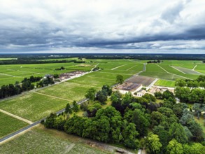 Chateau d'Armailhac Vineyard and grape fields around Pauillac and Gironde Estuary from a drone,