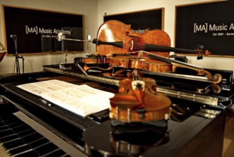 Instruments by Massimo Guidetti (pianist), Pierluigi Ruggiero (cellist and artistic director),