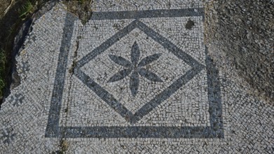 Geometric mosaic with a floral pattern in a square frame, Archaeological Site, Western Excavation,