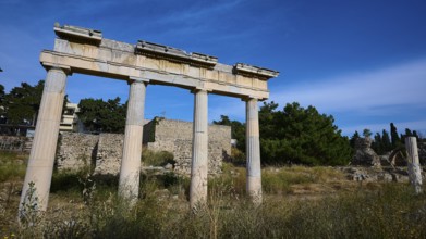 Ruins of an ancient temple with columns in a natural setting, Archaeological site, Xysto Columned