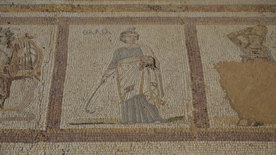 Ancient mosaic of a standing figure with draped robe, Archaeological Site, Western Excavation, Kos