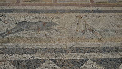 Ancient mosaic depicting a man approaching a charging bull, Archaeological Site, Western