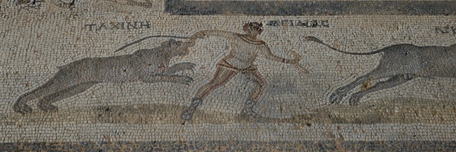 Mosaic from antiquity showing a man fighting two lions, Archaeological Site, Western Excavation,