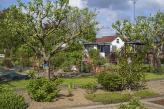 Garden house and fruit trees in allotment garden, allotment garden, garden, spring, Kamen, Ruhr