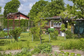 Garden house in allotment garden, allotment garden, spring, garden, Kamen, Ruhr area, North