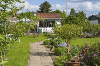 Garden house in allotment garden, allotment garden, arbour, garden, spring, Kamen, North