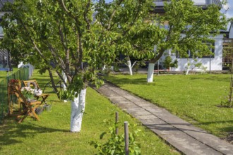 Meadow with fruit trees, garden house, allotment, allotment garden, garden, spring, Kamen, North