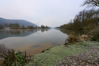 Frosty bank of a quiet river, reflections in the water, wintry landscape, Laudenbach, Main,