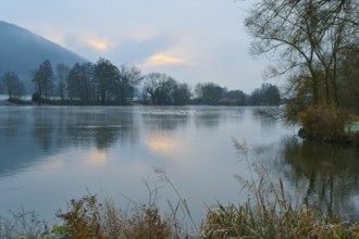 Calm river at sunrise, trees surround the lake, Laudenbach, Main, Spessart, Odenwald, Bavaria