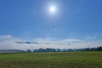 The sun shines over a foggy field, Schmachtenberg, Miltenberg, Spessart, Bavaria, Germany