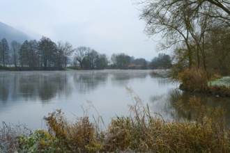 Cold morning on a misty river with grass and trees along the bank, Laudenbach, Main, Spessart,