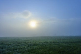 The sun shines through the fog and illuminates the green meadow, Mönchberg, Miltenberg, Spessart,