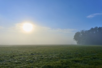 Wide green meadow with rising sun and sky, Mönchberg, Miltenberg, Spessart, Bavaria, Germany