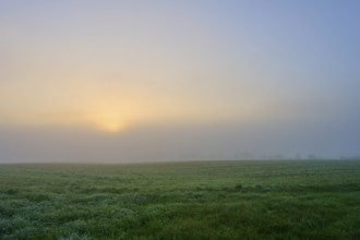 Sunrise over a misty meadow, warm light, Mönchberg, Miltenberg, Spessart, Bavaria, Germany