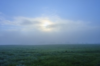 Dreamy meadow in the fog with bluish sky and subtle sun, Mönchberg, Miltenberg, Spessart, Bavaria,