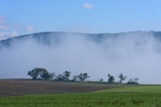 Fog hovers over fields and trees, Mönchberg, Miltenberg, Spessart, Bavaria, Germany