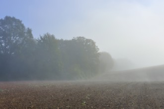 Fog stretches across a field near a forest, Mönchberg, Miltenberg, Spessart, Bavaria, Germany