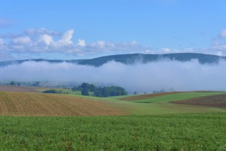 Fog drifts over hilly fields under a clear blue sky, Mönchberg, Miltenberg, Spessart, Bavaria,