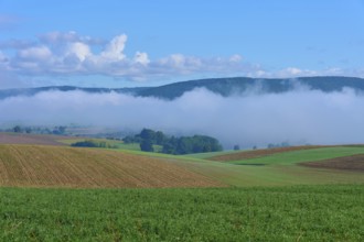 Hilly fields with fog and clear blue sky, Mönchberg, Miltenberg, Spessart, Bavaria, Germany