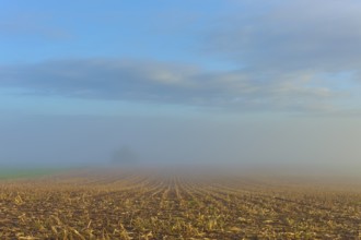 Fog-covered field with sky in autumn, quiet and spacious, Mönchberg, Miltenberg, Spessart, Bavaria,