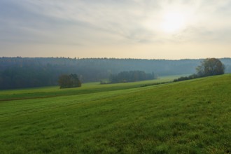 Hilly landscape with green fields and forest in the background under a cloudy sky, Hornbach,