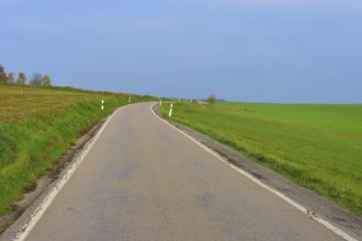 Country road leads through wide green fields under a clear sky, Hornbach, Walldürn, Odenwald,