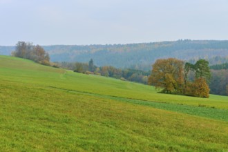 Wide landscape with green fields and trees under a cloudy sky, Hornbach, Walldürn, Odenwald,