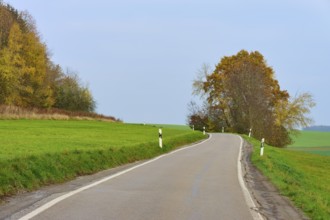 Winding country road between green fields and autumn trees, Hornbach, Walldürn, Odenwald,