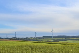 Wind turbines stand in a sunny and wide landscape, Buchen, Odenwald, Neckar-Odenwald district,