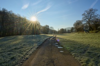 Path in an expansive winter landscape in the light of the rising sun, Kirchzell, Amorbach,