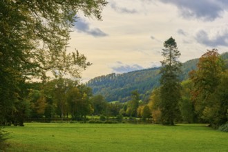 Autumn landscape with green meadow, tall trees and cloudy sky, Amorbach, Odenwald, Bavaria, Germany
