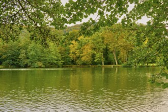 Calm lake surrounded by autumn coloured trees with green leaves in the foreground, Amorbach,