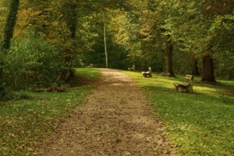 Wooded path with autumn foliage and benches surrounded by dense trees, Amorbach, Odenwald, Bavaria,