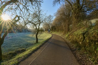 Path along frost-covered trees in the shade of the rising sun, Kirchzell, Amorbach, Odenwald,