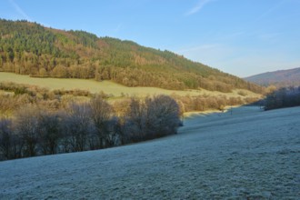 Sunlit meadow in front of a forest with rolling hills in winter morning, Kirchzell, Amorbach,