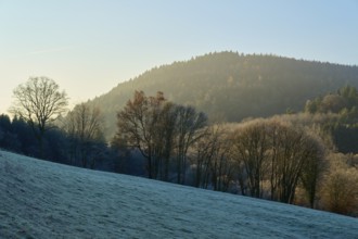 Snowy landscape with trees and hills in the morning light under a blue sky, Kirchzell, Amorbach,
