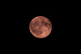 Strawberry moon, full moon in front of a dark night sky, Neunkirchen, Lower Austria, Austria