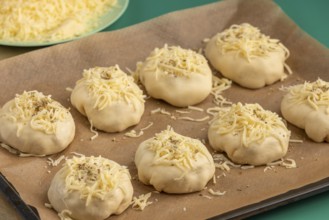 Raw pizza, balls with grated cheese and oregano on baking paper, ready for the oven