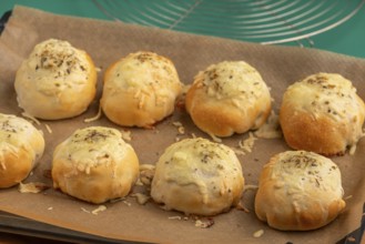 Baked pizza, balls with melted cheese, fresh from the oven