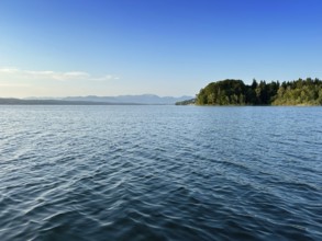 Wooded shore on Lake Starnberg with a view of the Alps, Bavaria, Germany