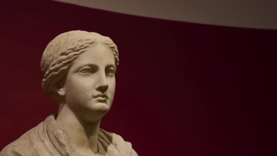 Ancient bust of a woman against a red background, showing classical stone carving, Archaeological
