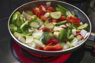 Fresh vegetables in the pan on the cooker, Bavaria, Germany