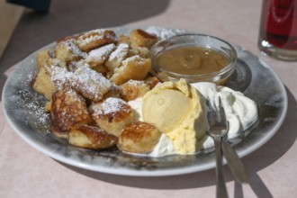 Kaiserschmarrn with ice cream and apple sauce, Bavaria, Germany