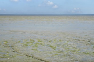 North Sea, Wadden Sea at low tide, Province of Groningen, Netherlands