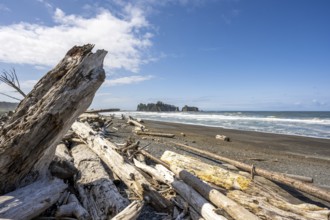 A sunny beach with driftwood, surrounded by sea and rocks under blue sky and clouds, Rialto Beach,