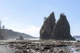 Large rocks protrude from a sandy beach against a clear blue sky, people walk along the shore,