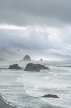 A rugged coastal landscape with rocks in the sea and a cloudy sky, Indian Beach, Oregon, USA, North