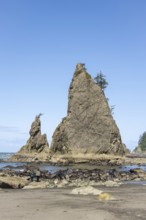 Large rocks protrude from a sandy beach against a clear blue sky, people walk along the shore,
